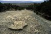 Dry stream