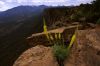 Porcupine rim