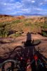 Sunset with a bike