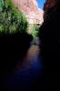 Stream