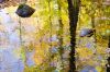 Water reflection