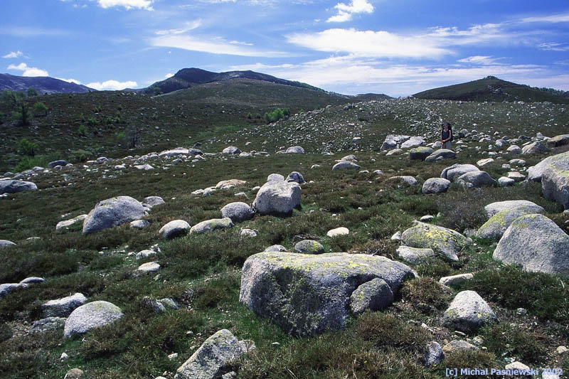paysage_stones_800.jpg