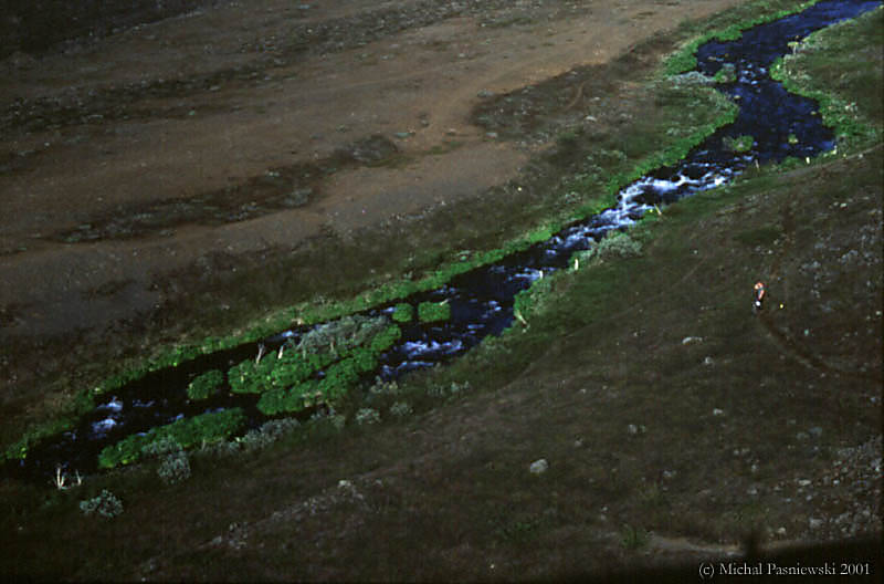 126 Jokulsargljufur-canyon.jpg (61 KB)