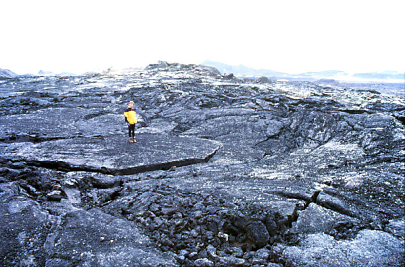 308 Krafla-lava field.jpg (101 KB)