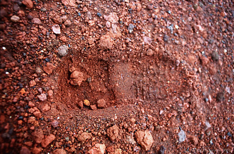 511 Landmannalaugar-We're on mars.jpg (129 KB)