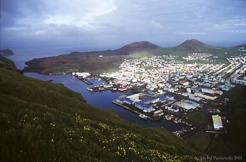 709 Heimaey village.jpg (63 KB)