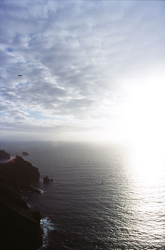 710v Heimaey-View from Storakliff radio tower.jpg (56 KB)
