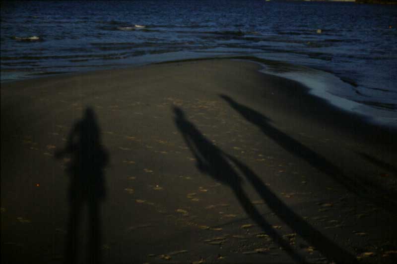 30-LongBeach-LesOmbres.jpg (21331 bytes)