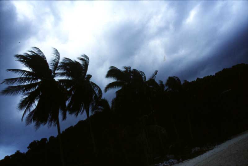 11-Tempete.JPG (24261 bytes)