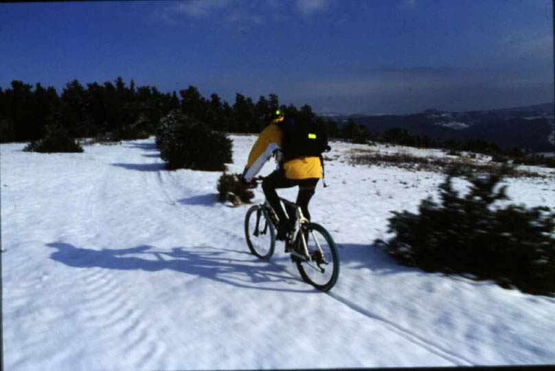 neige1__michel