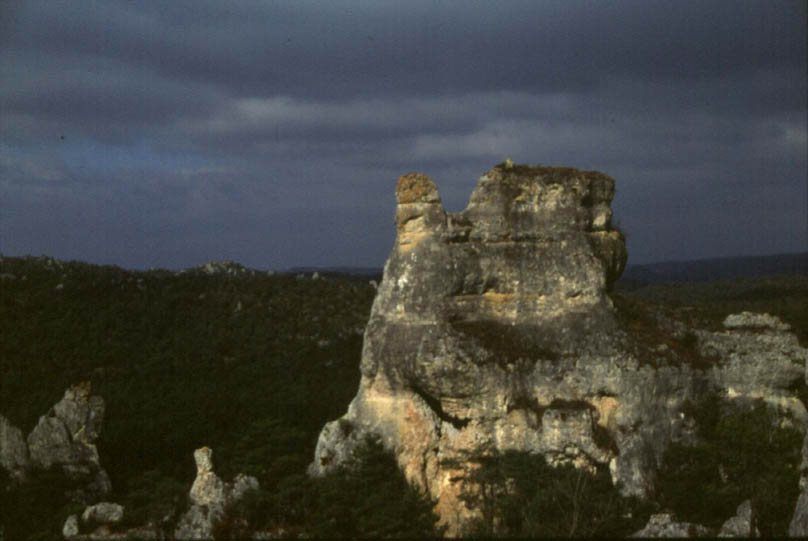 rocque