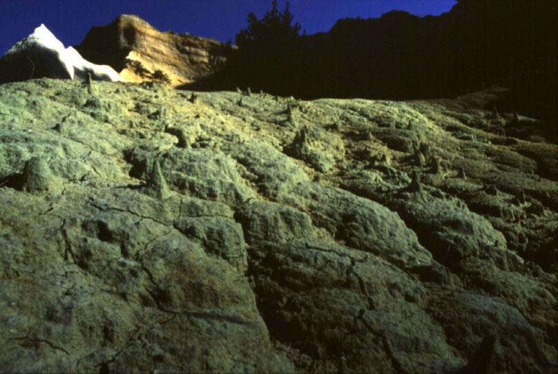 colorado-lune